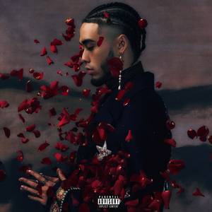 专干屁股眼A片视频在线观看
