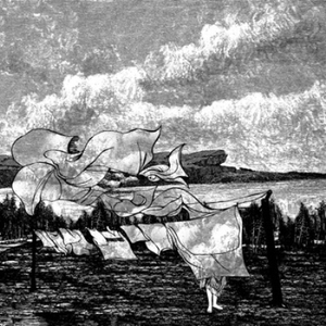 专干屁股眼A片视频在线观看
